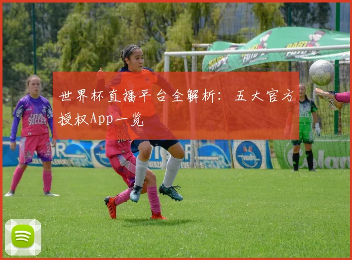 世界杯直播平台全解析：五大官方授权App一览