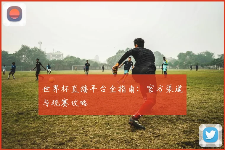 世界杯直播平台全指南：官方渠道与观赛攻略