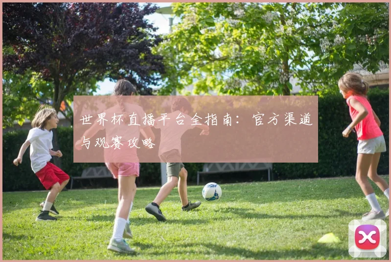 世界杯直播平台全指南：官方渠道与观赛攻略