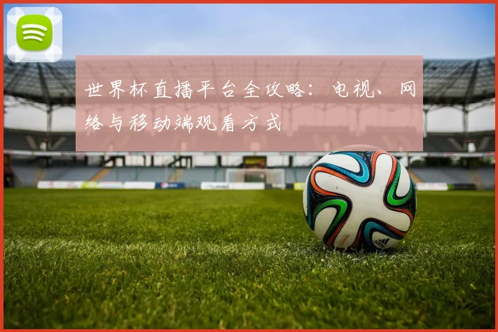 世界杯直播平台全攻略：电视、网络与移动端观看方式