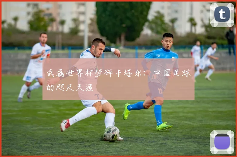 武磊世界杯梦碎卡塔尔:中国足球的咫尺天涯