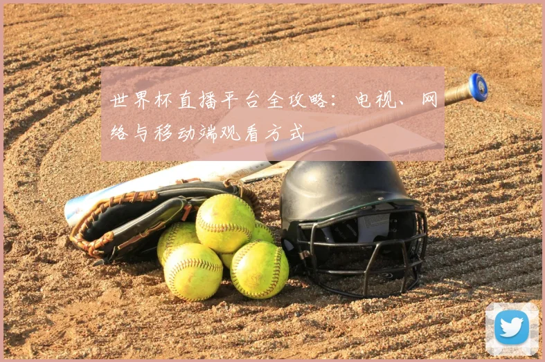 世界杯直播平台全攻略：电视、网络与移动端观看方式