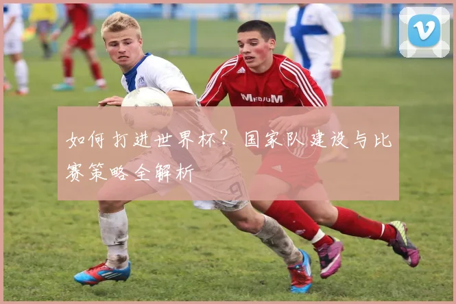 如何打进世界杯?国家队建设与比赛策略全解析