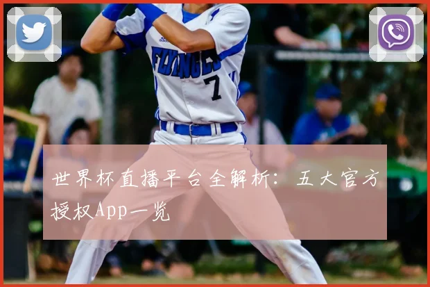 世界杯直播平台全解析：五大官方授权App一览