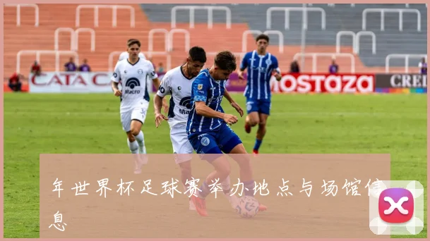 年世界杯足球赛举办地点与场馆信息