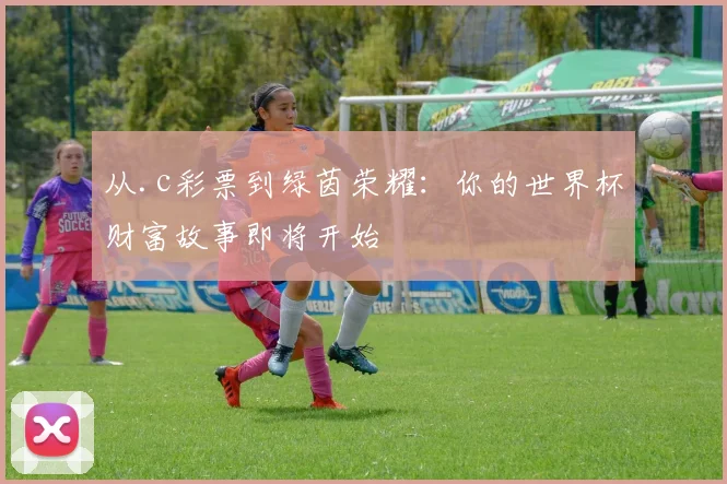 从.c彩票到绿茵荣耀：你的世界杯财富故事即将开始